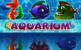 Aquarium