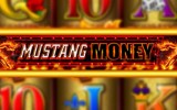 Mustang Money